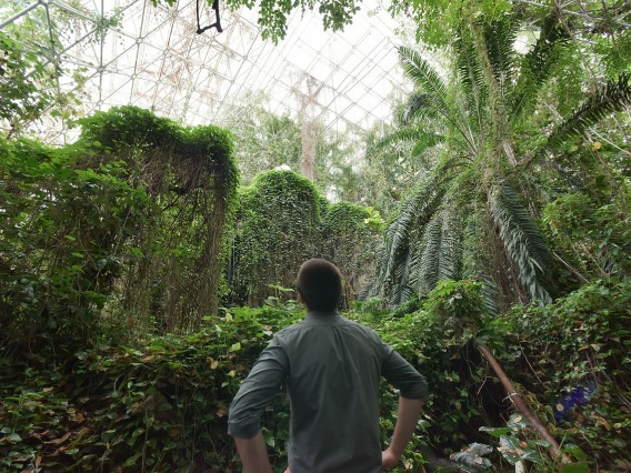 View inside the forest in Biosphere 2 - Our values